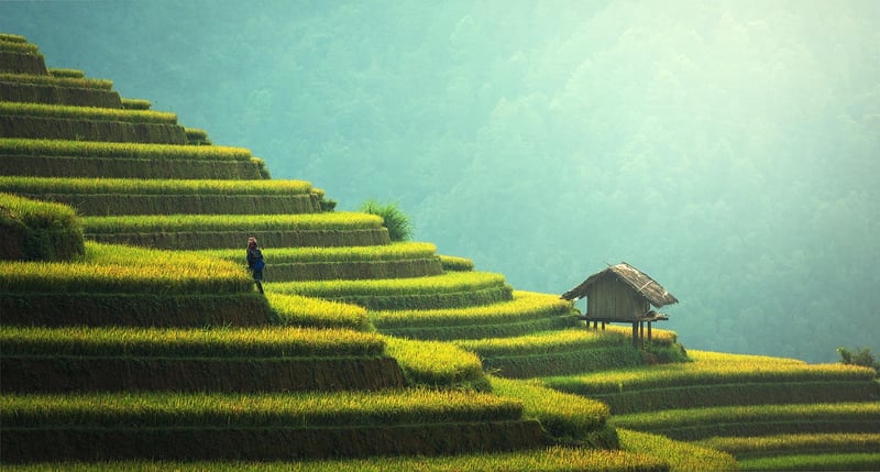 Sustainable Textiles